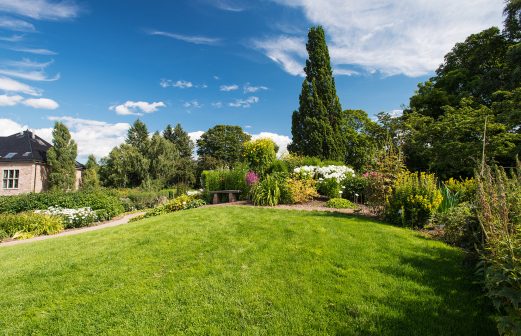 Botanical garden in Oslo Norway at summer