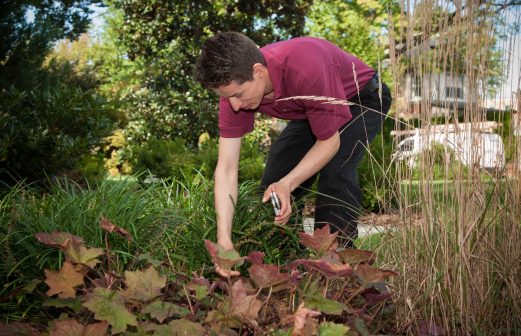 Martin-Landscaping-100418-9731a