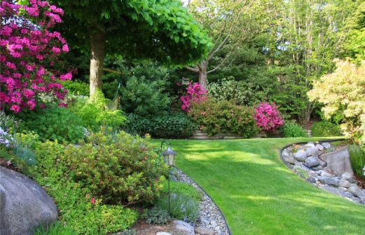 Silver Spring Landscapers