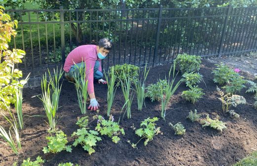 martinComptonGDNinstallCloseUP