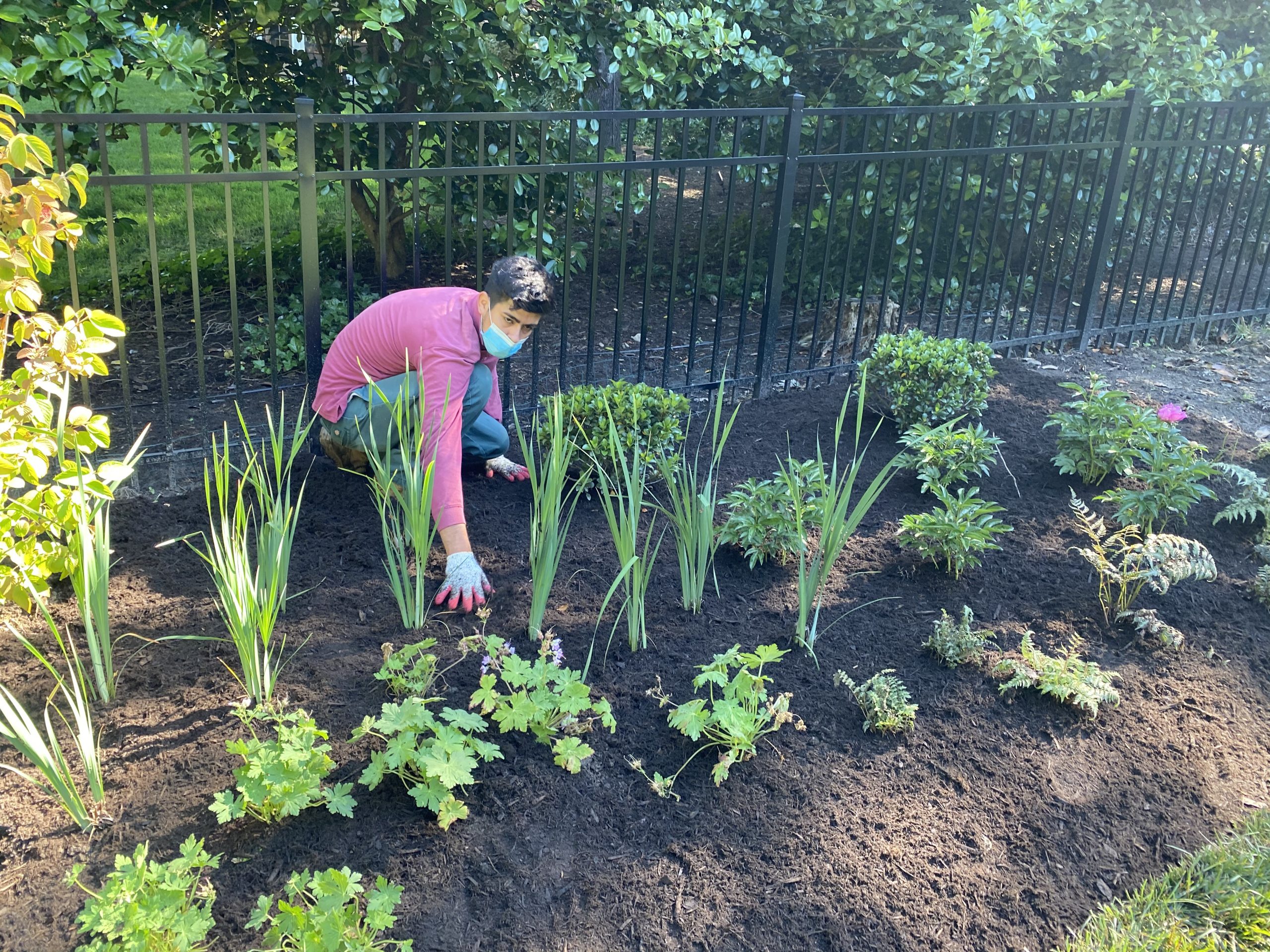 martinComptonGDNinstallCloseUP