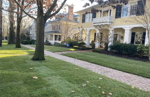 Laying sod landscaping DC