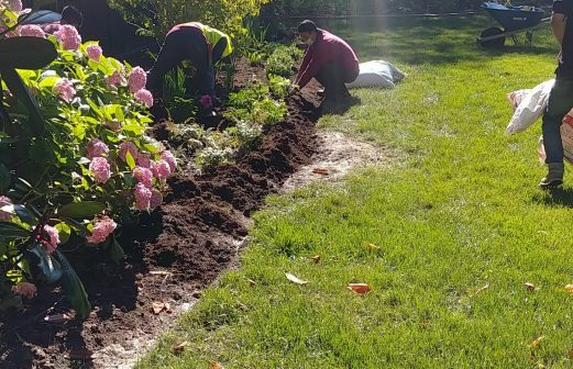 martinsGardenINSTALL1