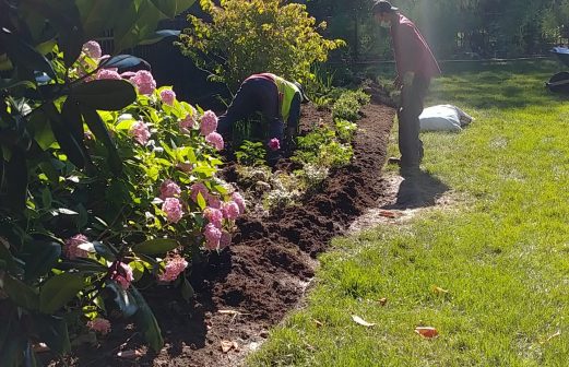 martinsGardenINSTALLheavenLight