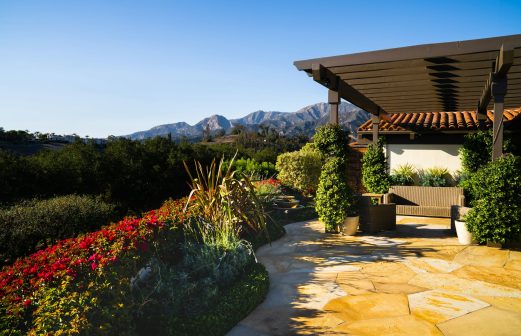 earl-wilcox-yDP57s4IWGs-unsplash