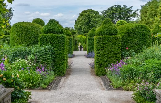 jonny-gios-h9KXTfIvjVU-unsplash